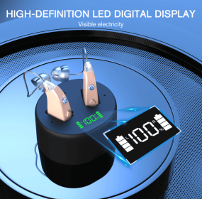 PST201G Dual-ear Microphone Digital Hearing Aid Professional Audio Hearing Aid Noise Reduction Hearing Aid High-Quality Hearing Aid Factory Direc